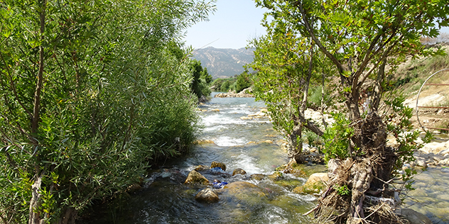 Fluss im Nahla Valley, Bild: © Michael Martin